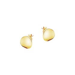 Capricci BSCABO465965