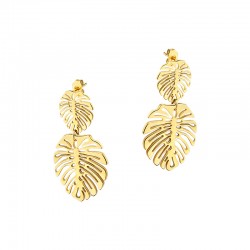 Capricci BSCABO5381