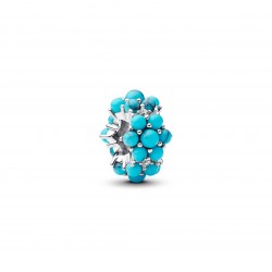 Pandora 793897C02