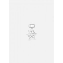 Liliflo BALICA3069