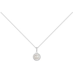 Griffe rouge argent...