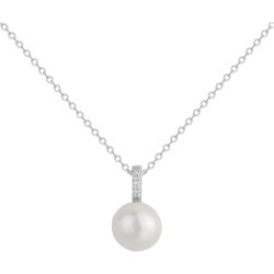 Griffe rouge argent...