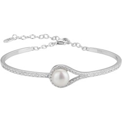 Griffe rouge argent...