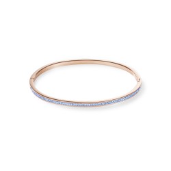 Cœur de Lion 0229/33-0720