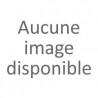 Montignac